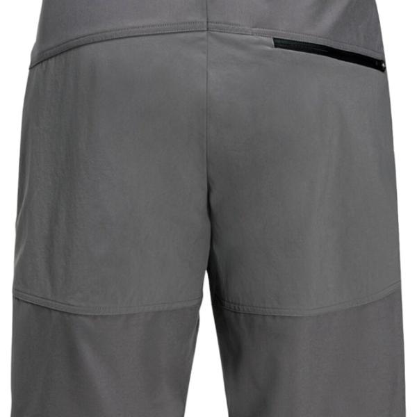 Шорты для мужчин Jack Wolfskin Hiking Alpine Short M XL/ Серый photo 2