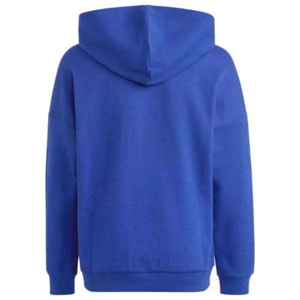 Толстовка для мальчиков Adidas Fi Logo Hd blue Синий photo 2