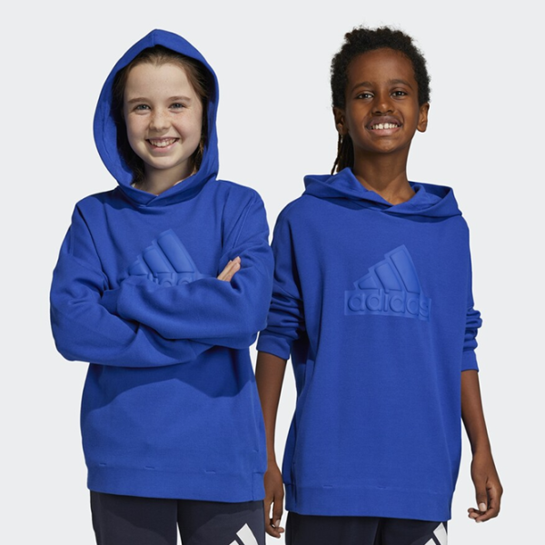 Толстовка для мальчиков Adidas Fi Logo Hd blue Синий photo 3