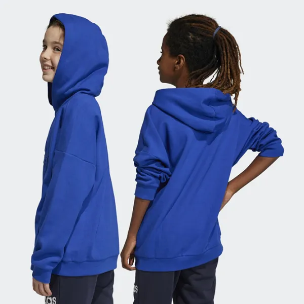 Толстовка для мальчиков Adidas Fi Logo Hd blue Синий photo 4
