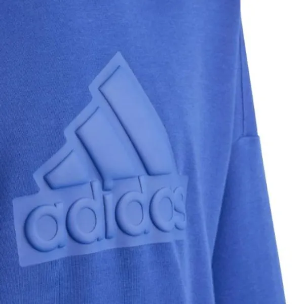 Hanorac pentru băieți Adidas Fi Logo Hd blue Blue photo 5 Hanorac pentru băieți Adidas Fi Logo Hd blue Blue photo 5