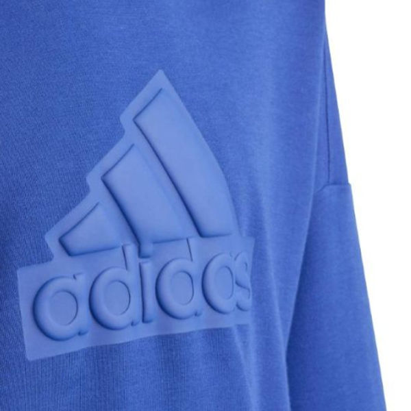 Hanorac pentru băieți Adidas Fi Logo Hd blue Blue photo 5 Hanorac pentru băieți Adidas Fi Logo Hd blue Blue photo 5