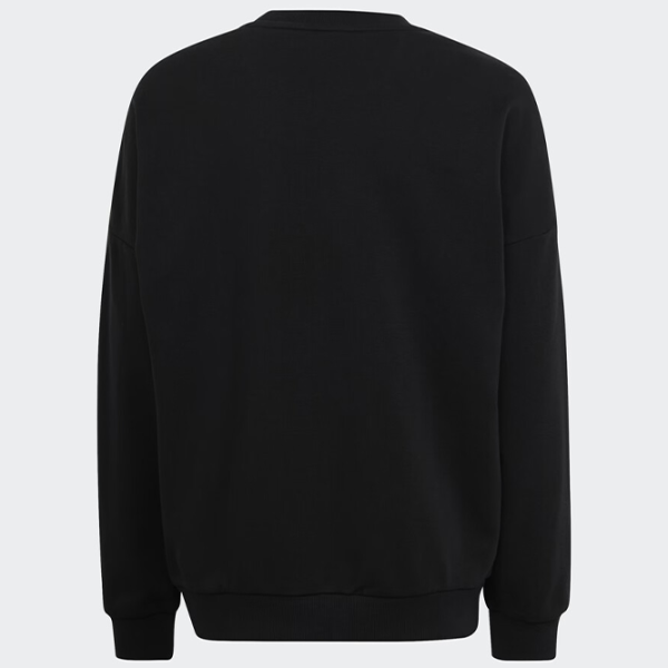 Толстовка для мальчиков Adidas U Arkd3 Crew black Черный photo 2