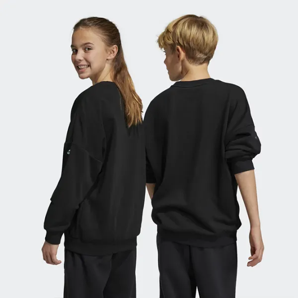Толстовка для мальчиков Adidas U Arkd3 Crew black Черный photo 5