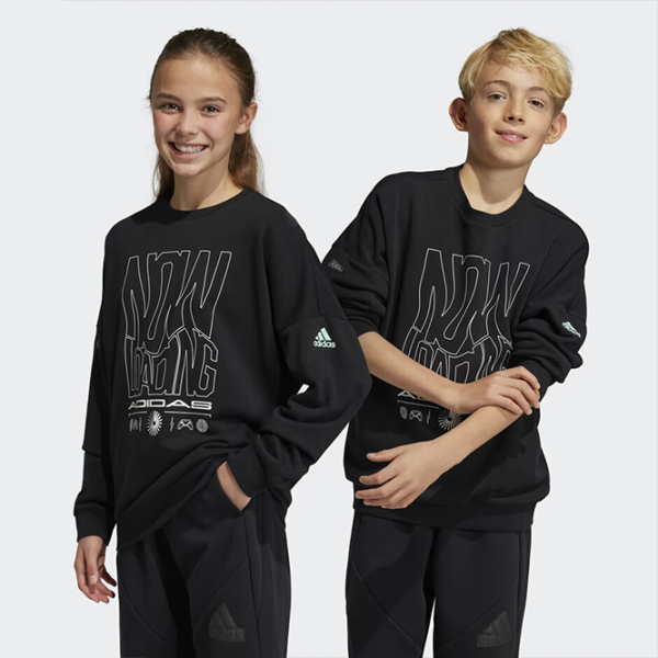Толстовка для мальчиков Adidas U Arkd3 Crew black Черный photo 7