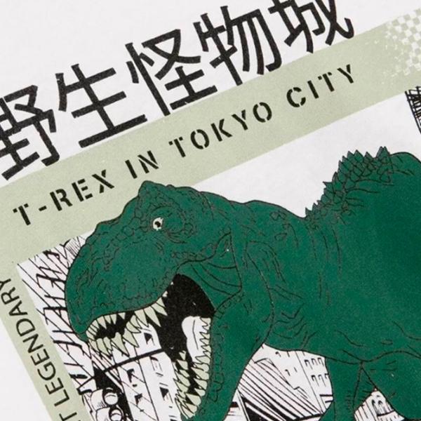 Tricou pentru băieți Koton 4SKB10027TK 128/ White photo 4