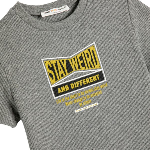 Футболка для мальчиков Koton 4SKB10602TK 110 / Антрацит photo 3