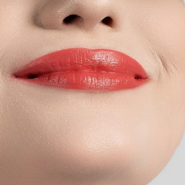 Губная помада Golden Rose gr02-48-08 Stick/ Purpure photo 2