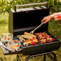 Мангал Konighoffer Garden Grill Брикеты, уголь/ Мобильный photo 8