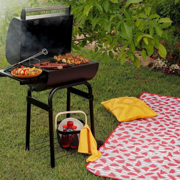 Мангал Konighoffer Garden Grill Брикеты, уголь/ Мобильный photo 9