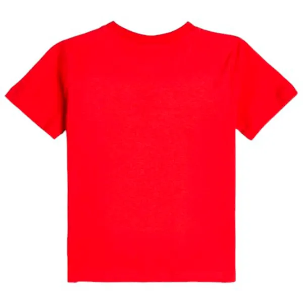 Футболка для мальчиков Koton 4SMB10023TK 110 / Красный photo 2