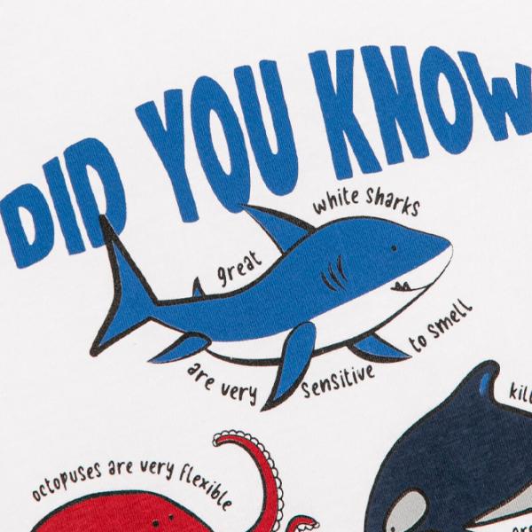 Футболка для мальчиков Koton 4SMB10075TK 86/ Экрю photo 4