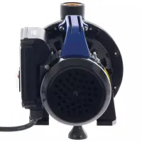 Pompă de suprăfață Annovi Reverberi ARGP600P 600 W 3100 l/ h photo 7
