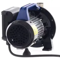 Pompă de suprăfață Annovi Reverberi ARGP800X 800 W 3500 l/ h photo 4