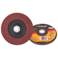 Disc lamelar Hoteche 550315 photo 2