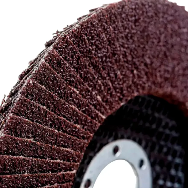 Disc lamelar Hoteche 550313  photo 2 Disc lamelar Hoteche 550313  photo 2