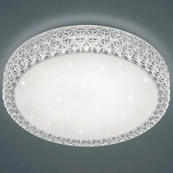 Плафон Trio Pegasus  photo 2 Плафон Trio Pegasus  photo 2