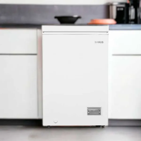 Ladă frigorifică Samus LS113 98l / White photo 4