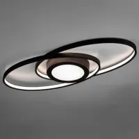 Plafonieră Trio R62991142 Metal photo 2
