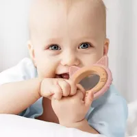 Игрушка для прорезывания зубов BabyOno 1076/ 02 от 0 месяцев photo 3