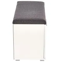 Dulap pentru încălțăminte Halmar Lima ST2 45 x 70 x 32/ White/ White photo 5