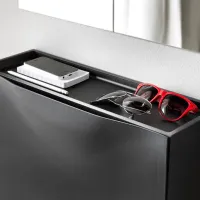 Dulap pentru încălțăminte Ikea Trones 39 x 52 x 18/ Black/ Black photo 5