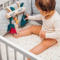 Jucarie zornaitoare pentru carucior BabyOno 1491 de la 0 luni photo 3