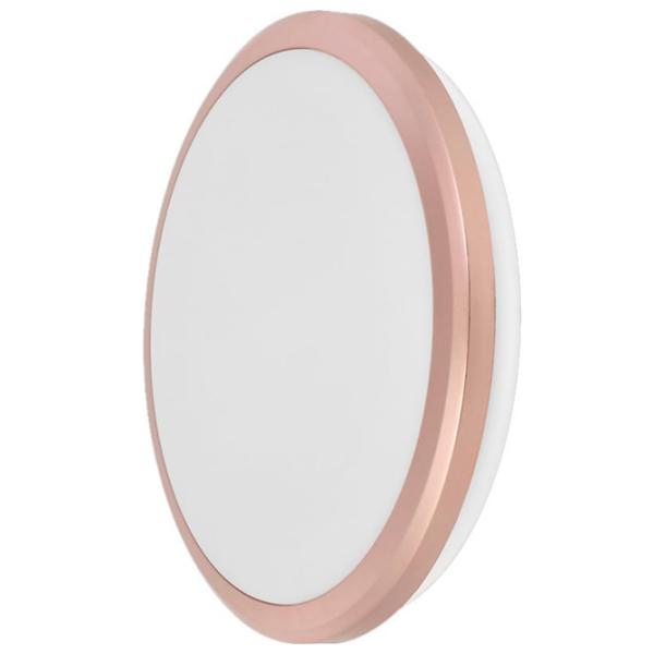 Plafonieră IEK LDPB0-3205-24-4000-K01 230 mm/ Polipropilenă photo 2 Plafonieră IEK LDPB0-3205-24-4000-K01 230 mm/ Polipropilenă photo 2