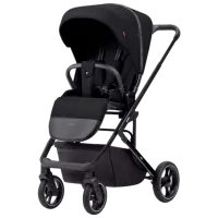 Cărucior pentru copil Carrello Alfa 2 in 1 2024 Black photo 2