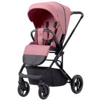 Cărucior pentru copil Carrello Alfa 2 in 1 2024 Pink photo 2