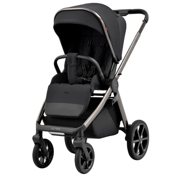 Детская коляска Carrello Omega Chrom 2 in 1 Черный photo 2 Детская коляска Carrello Omega Chrom 2 in 1 Черный photo 2