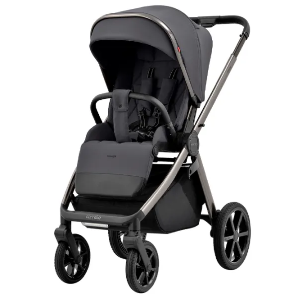 Cărucior pentru copil Carrello Omega Chrom 2 in 1 Gray photo 2