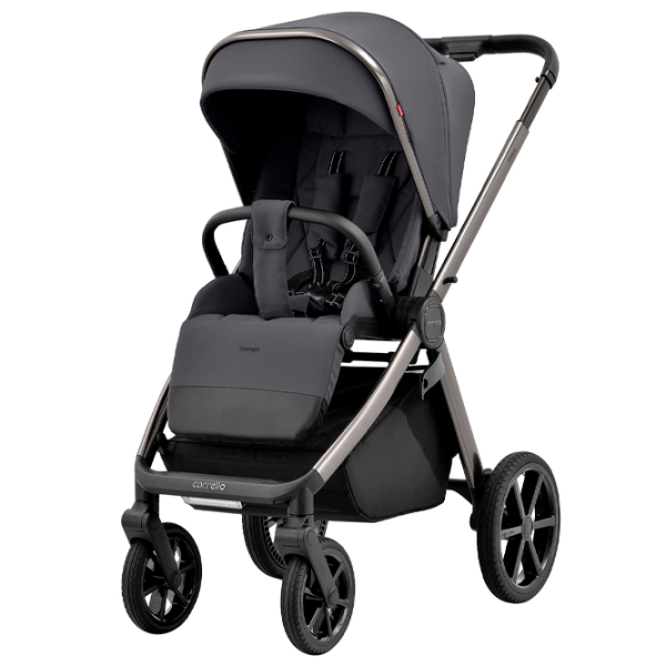Cărucior pentru copil Carrello Omega Chrom 2 in 1 Gray photo 2