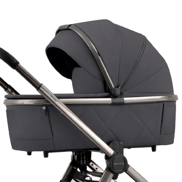 Cărucior pentru copil Carrello Omega Chrom 2 in 1 Gray photo 5