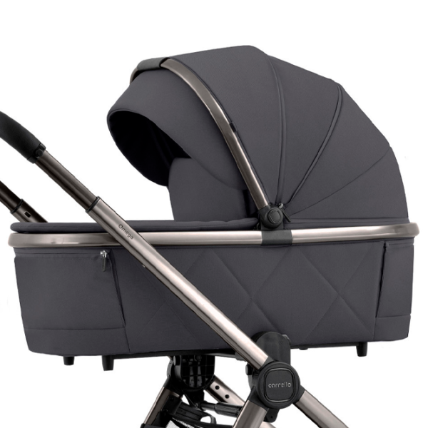 Cărucior pentru copil Carrello Omega Chrom 2 in 1 Gray photo 5