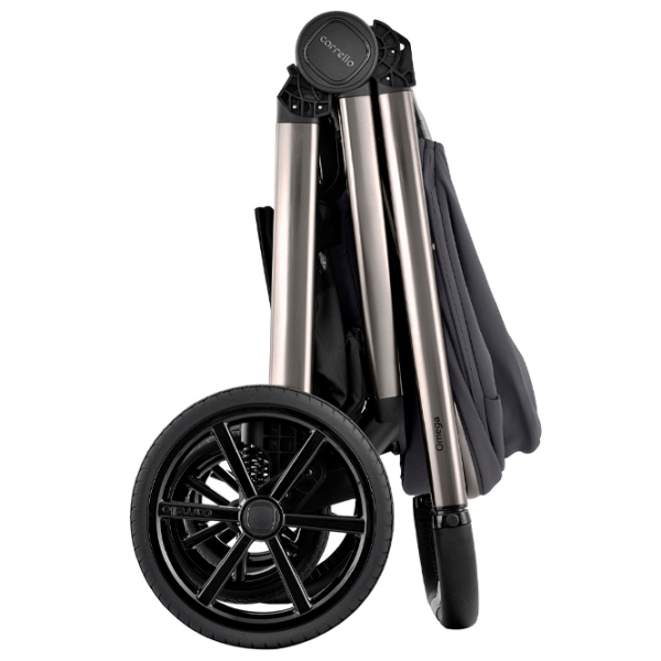 Cărucior pentru copil Carrello Omega Chrom 2 in 1 Gray photo 6