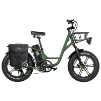 Bicicletă electrică FIIDO T1 Pro 20" Green photo 2