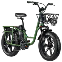 Bicicletă electrică FIIDO T1 Pro 20" Green photo 3