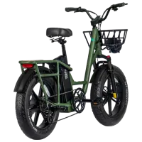Bicicletă electrică FIIDO T1 Pro 20" Green photo 4