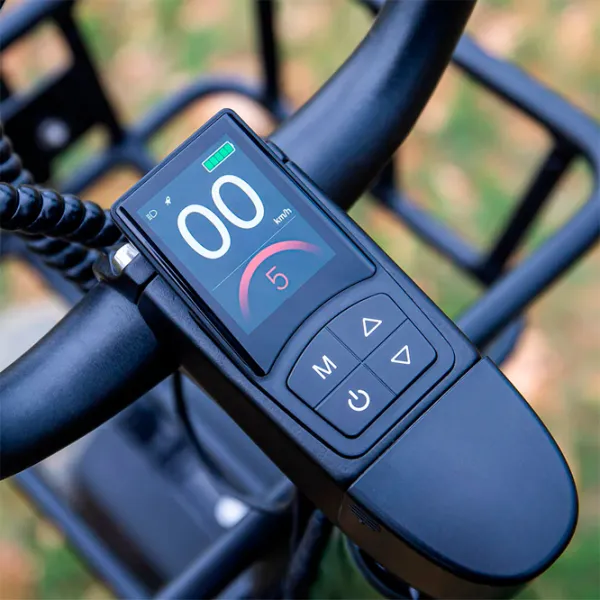 Bicicletă electrică FIIDO T1 Pro 20" Green photo 5