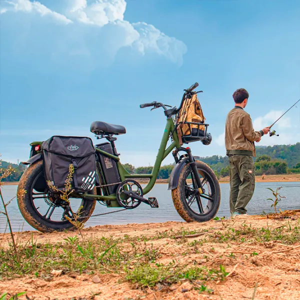 Bicicletă electrică FIIDO T1 Pro 20" Green photo 6