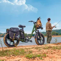 Bicicletă electrică FIIDO T1 Pro 20" Green photo 6