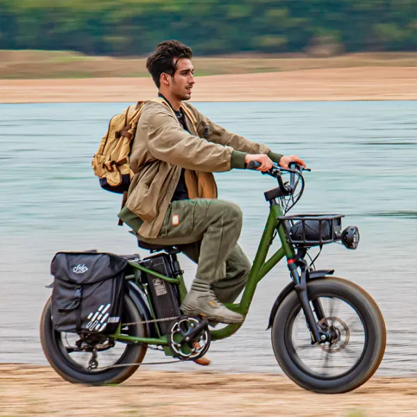 Bicicletă electrică FIIDO T1 Pro 20" Green photo 7