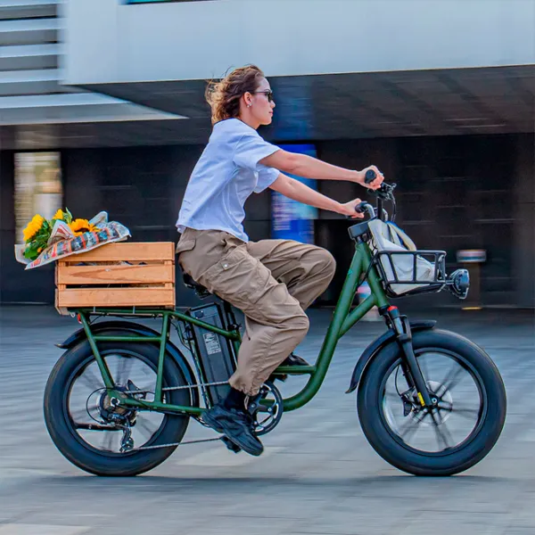 Bicicletă electrică FIIDO T1 Pro 20" Green photo 8