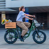 Bicicletă electrică FIIDO T1 Pro 20" Green photo 8