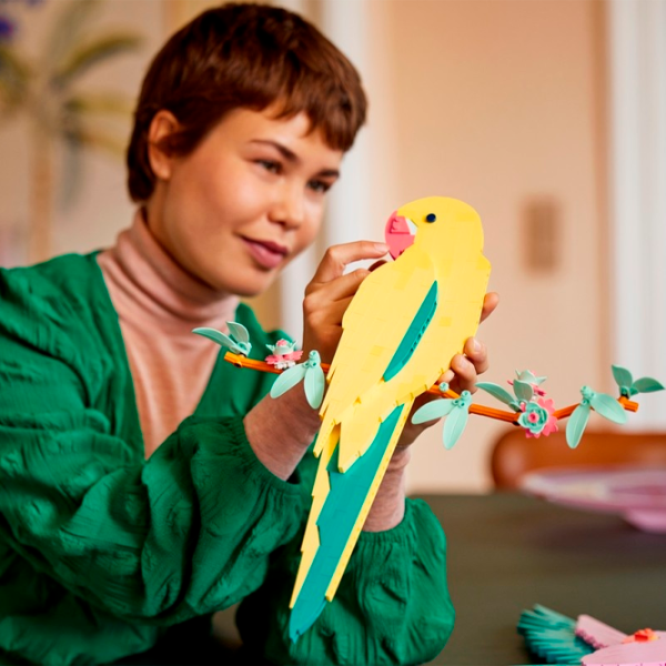 Конструктор LEGO The Fauna Collection – Macaw Parrots Творческий/ Разноцветный photo 6