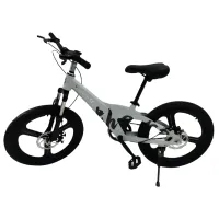 Велосипед TyBike BK-09 16" 16" Магниевый сплав / Серый Черный photo 2