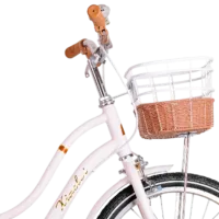Bicicletă TyBike DF-02 20" 20" Oțel / White Brown photo 4