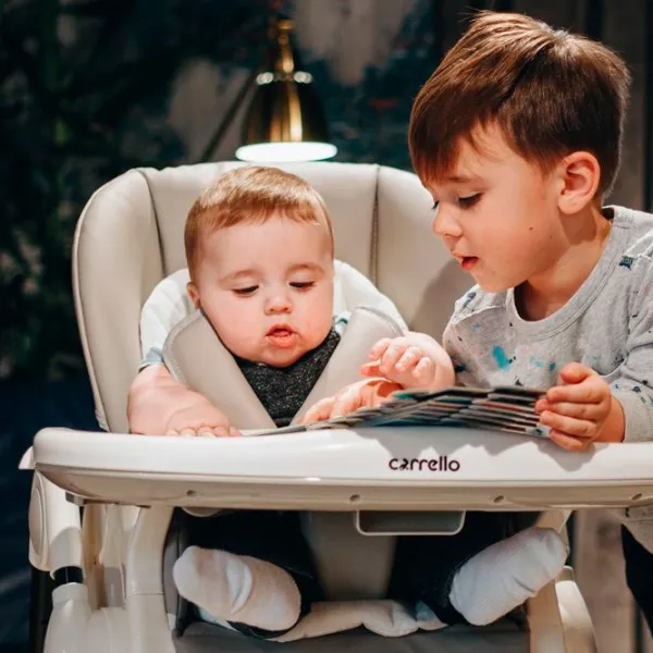 Scaun de masă Carrello Stella (CRL-9503) 6 luni/ Aspen Green photo 12 Scaun de masă Carrello Stella (CRL-9503) 6 luni/ Aspen Green photo 12