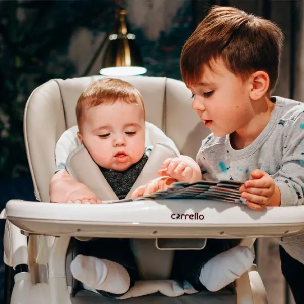 Scaun de masă Carrello Stella (CRL-9503) 6 luni/ Palette Grey photo 13